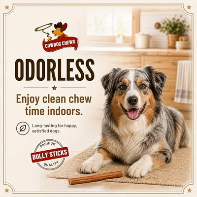 Cowdog Chews Beef Bully Stick: Odor-Free, Fully Digestible Beef Collagen Chews (9-12", 25 Count) - Natural, Grain-Free, Long-Lasting Collagen Bully Stick Substitute for All Dog Breeds