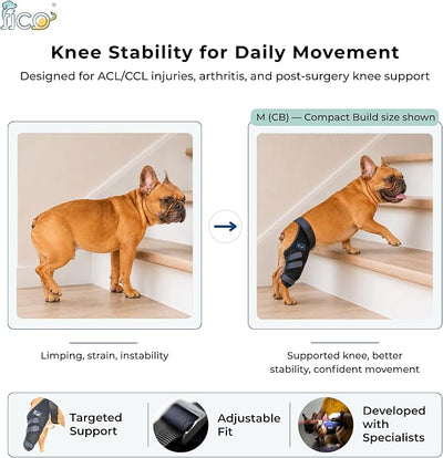Dog Knee Brace for Hind Leg Support - Right Leg, CCL ACL Brace for Dogs, Vet Approved, Adjustable Orthopedic Support for Arthritis, Ligament Injuries & Post-TPLO Surgery Recovery (Large)