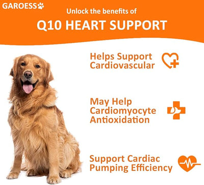 CoQ10 Heart Chew for Dogs, Support Dogs Heart Health, Cognitive & Energy, CoQ10 Chews for Cardiovascular & Gum Health & antioxidant Protection, Bacon Flavor, 240 Count (2 Packs/Trust it)