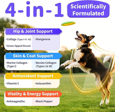 Collagen for Dogs - 12-in-1 Liquid Collagen for Skin & Coat Support, Hip & Joint with Types I, II & III Drops, Hyaluronic Acid, Green-Lipped Mussel - Chicken Flavor, 4 FL Oz（ Pack of 1）