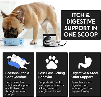 Frenchies vs Mushrooms - Turkey Tail Mushroom for Dogs, Omega-3 & Turmeric | Immune support Mushroom Supplement For Dogs. Helps with digestion, allergies, longevity, lumps & bumps. Frenchie optimized.