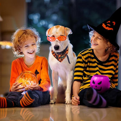 Dog Bandana Plaid,Boo & Witch Cat Embroidery Patches,Orange & Black Large