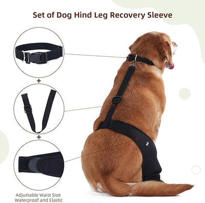 Dog Recovery Sleeve Back Leg Breathable Material, Dog Leg Sleeve to Stop Licking and Biting Firm and Secure, Adjustable Size, Comfortable Alternative to Cone Collars (2XLarge, Single Leg)