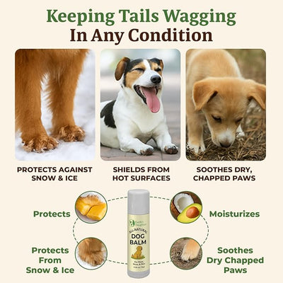 Earth’s Daughter Dog Paw Balm Big 0.56 oz – Organic Paw & Nose Protector with Beeswax, Coconut & Calendula – Itch Relief & Natural Skin Care for Dogs & Puppies – Travel Essential
