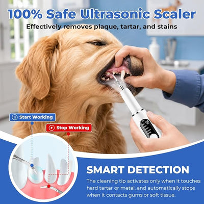 Plaque Remover for Teeth, Ultrasonic Dental Cleaner for Dogs - Tartar Stain | Safe Pet Dental Care Tool with LED Light, 5 Modes, 4 Heads, IPX6 Waterproof Rechargeable for Dogs and Cats, Personal (White)