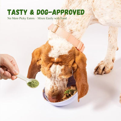 Dog Dental Powder, Dental Powder for Dogs Teeth Cleaning and Breath Fresh, Dog Teeth Cleaning Powder with Natural Plants Ingredients and Postbiotics, 400g