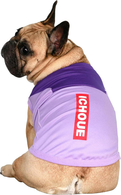 iChoue 2pcs French Bulldog Summer Cooling Shirt for Dogs UV Sun Protection Vest Sleeveless Breathable Tank Top English Pug Pink Green Purple - Medium