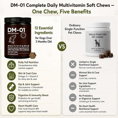 DM-01 Daily Multivitamin - Advanced Skin & Coat Support, Multivitamin Itch Relief Chews for Dog with HCI & MSM, Salmon Oil, Chondroitin & Vitamins, Promotes Skin and Coat Healthy, 60 Chews, Beef