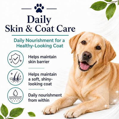 Healthy Petz Premium Liquid Collagen for Dogs, Bacon Flavor, 60ml/2fl oz | healthy petz liquid collagen for dogs; Daily Skin & Coat Care;