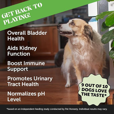 Cranberry for Dogs Urinary Tract Support - Advanced Bladder Control & Kidney Health Supplement - with D-Mannose & Marshmallow Root for Incontinence Support & Normal Urine pH (Chicken, 90 Ct)