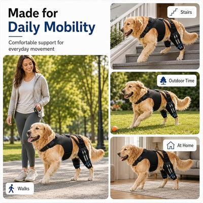 Dog Knee Brace for Back Legs (S) – Dual Hind Leg Support with Hip Harness, Adjustable Joint Stabilizer for Cruciate Ligament & Mobility Assistance, Breathable Pet Leg Wrap