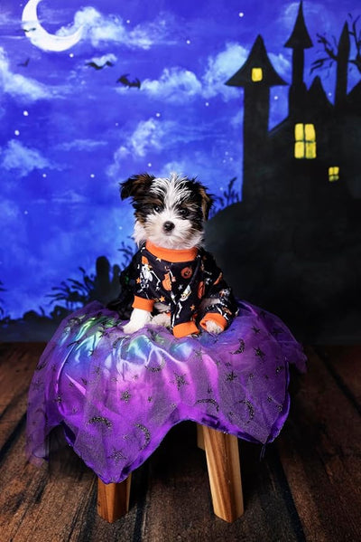 Fitwarm Halloween Skeleton Dog Costume Lightweight Velvet Pajamas Pet Clothes Doggie PJS Puppy Onesie Doggy Outfits Cat Jumpsuits Black XXL
