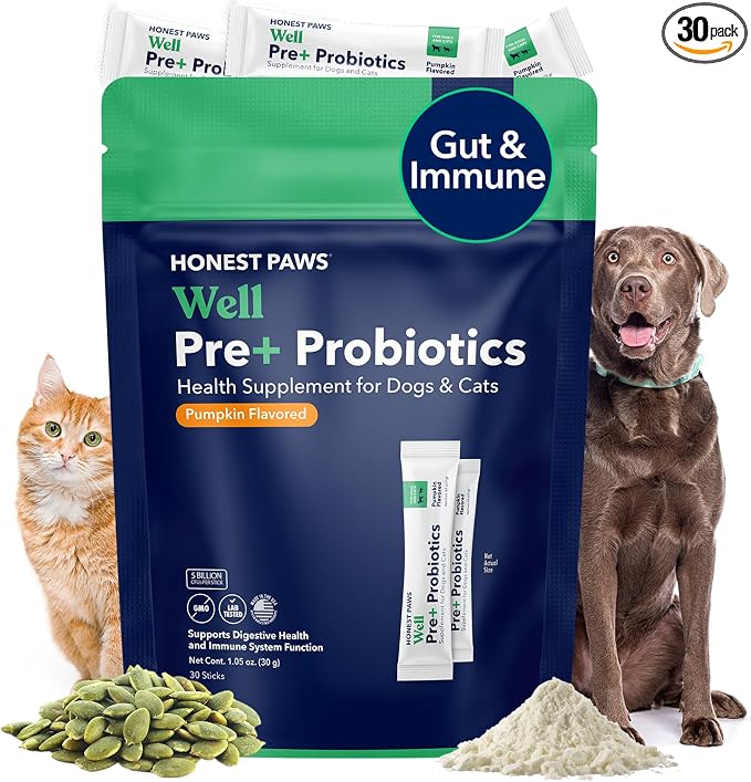 Honest Paws Probiotics for Dogs - Dog Digestion Gut Health Probiotic Powder with Prebiotic Made in The USA, Digestive and Immune Support - Digestive Enzymes with Pumpkin Flavor (30 Sticks)