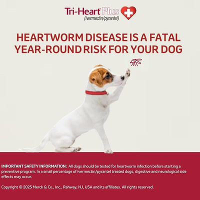 TRI-HEART PLUS Chewable Tablet for Dogs, 26-50 lbs (Green Box), 6 Chewable Tablets, 6-Month Supply