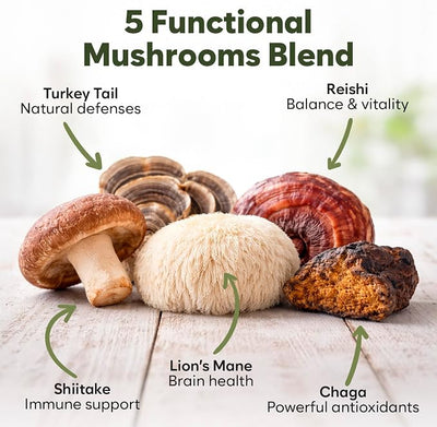 Turkey Tail Mushroom for Dogs - 150 Soft Chews - with Turkey Tail, Lion’s Mane, Chaga, Reishi & Shiitake - Immune Support & Cognitive Health Mushroom Supplement for Dogs