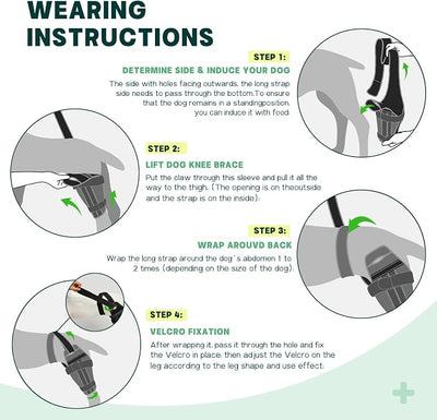 Dog Knee Brace for Torn ACL Hind Leg – Support Dog Leg Brace for Back Leg with 2 Stabilizers, Adjustable Hip Support to Reduces Pain Luxating Patella, Ligament Injuries, CCL (Left Leg, M)