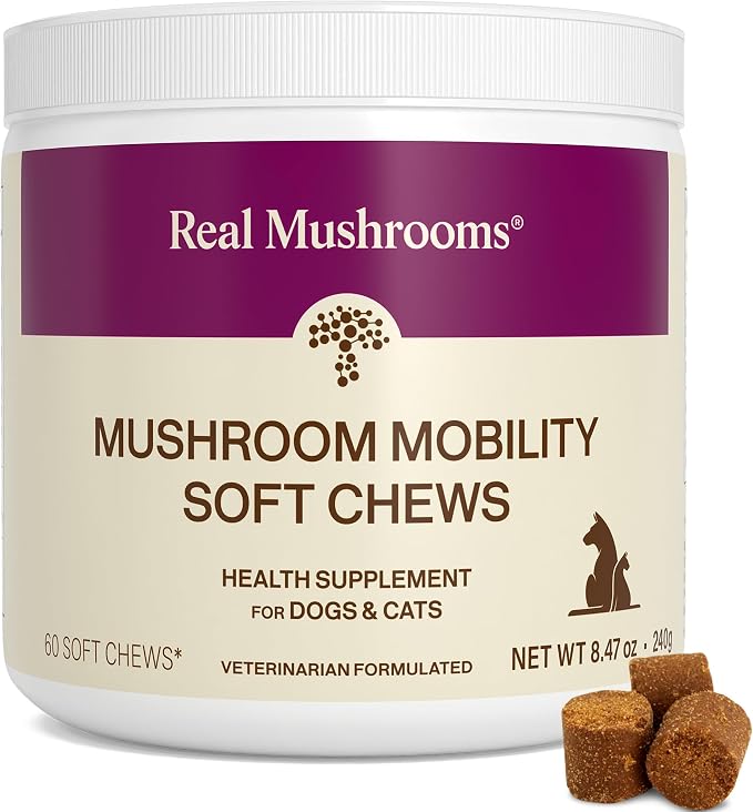 Real Mushrooms Mobility Chews for Dogs & Cats – Green Lipped Mussel & ErgoGold Mushroom Blend – Dogs & Cat Vitamins Treats for Active Routines – Joint, Hip & Flexibility Support – 240 ct Supplement