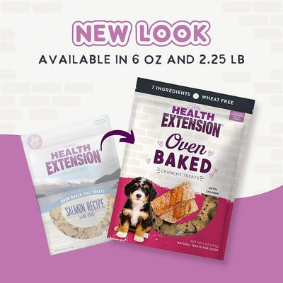 Health Extension Oven-Baked Dog Treats, Salmon Recipe – Gluten & Wheat-Free, Superfood-Infused, Crunchy Biscuits for Puppy Training (6oz)
