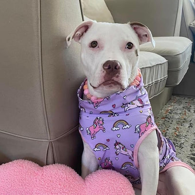 Pittie Clothing Pit Bull Muscle Tee for Dog Breed Dog Shirts Pet Printed Clothes Cool Funny
