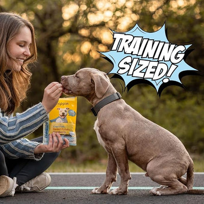 Chippin Low Calorie Training Treats for Dogs & Puppies, Reward Confidently with Real Fish & Sweet Potato Soft Mini Bites, Healthy, Natural, 2 Calories Each, No Chicken, 4 Pack