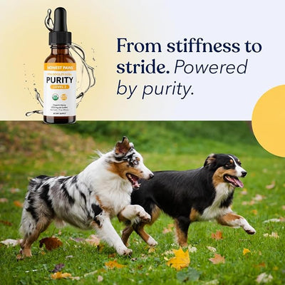 Honest Paws Hemp Oil for Dogs - Natural Hemp Seed Oil Drops Rich in Omega 3 6 9 - May Help Support Calm Behavior, Physical Comfort & Overall Wellness - Made in USA
