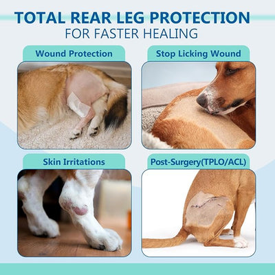 Dog Rear Leg Sleeve to Stop Licking, Breathable Anti-Slip Recovery Sleeve Pants for Wound Protection After ACL/TPLO Surgery, Hot Spots, Lick Granulomas–Cone Alternative for Leg Healing,L