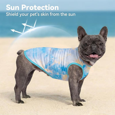 cyeollo 2pack Dog Cooling Shirt, Breathable Sleeveless Summer Clothes for Dogs, Intant Cool Dog T Shirts for Medium Large Dogs, Blue Sky 2XL