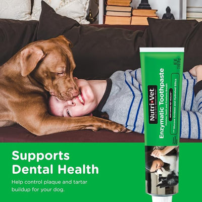 Nutri-Vet Enzymatic Dog Toothpaste, Plaque Remover for Teeth, Dog Breath Freshener, Tooth Whitening, Puppy Essentials, Made in the USA, Non-Foaming Chicken Flavor, 2.5 oz
