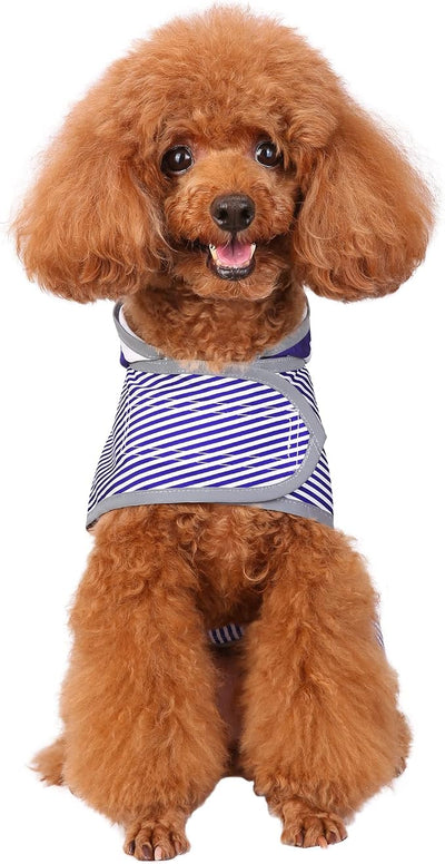 Dog Raincoat for Small Dogs Puppies Waterproof Jacket Hooded Rain Coats with Reflective Strips Leash Hole & Poncho Adjustable Fit (Bluestripe,S)