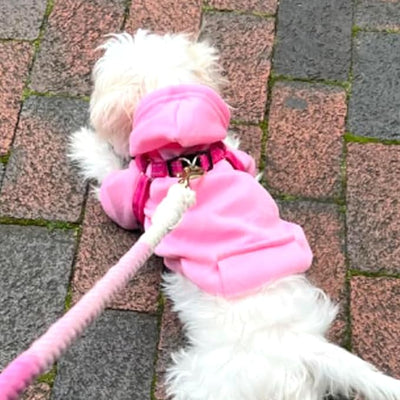 Jecikelon Soft Dog Hoodies for Small Dogs, Fleece Puppy Sweatshirt with Pockets, Warm Winter Cold Weather Coats for Pet Cat, Cute Clothes Puppy Costume (Pink, X-Small)