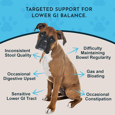 Animal Essentials Colon Rescue for Dogs & Cats - Constipation Relief, Stool Softener with Slippery Elm, Marshmallow Root, Licorice Root - 1 Fl Oz