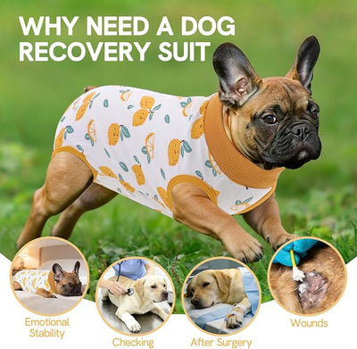 SAWMONG Recovery Suit for Dogs After Surgery Professional, Dog Spay Surgical Suit for Female Dogs, Dog Onesie Bodysuit for Surgery Male Substitute E-Collar Cone, Lemon Yellow, X-Large