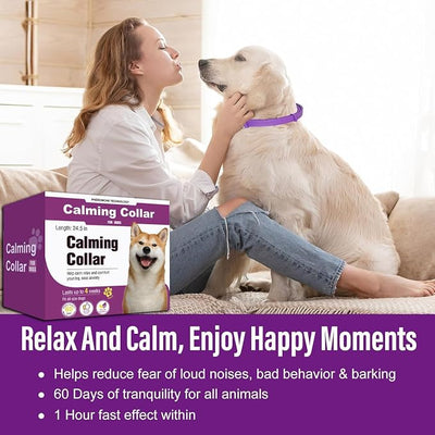 Calming Collar for Dogs, 4 Packs Dog Pheromone Calm Collars to Relief Anxiety Stress Separation, Long Lasting Pheromone for 60 Days, 25 Inches Adjustable for Small Medium and Large Dog (Pruple)