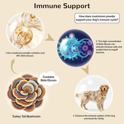 Turkey Tail Mushroom for Dogs & Cats, Organic 10 Mushroom Blend for Lipoma Lumps and Bumps, Dog Mushroom Supplements with 50% Beta Glucan, Joint Gut Immune Skin Support - 60g
