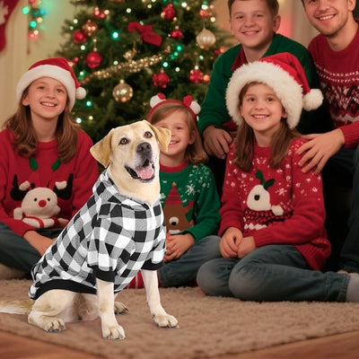 KOOLTAIL Plaid Dog Hoodie Pet Clothes Sweaters with Hat