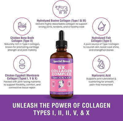 Premium Collagen for Dogs - Liquid Support for Joints, Skin, Coat, Bone, Immune System & HIPS - Collagen Supplement - Made in USA - 4oz