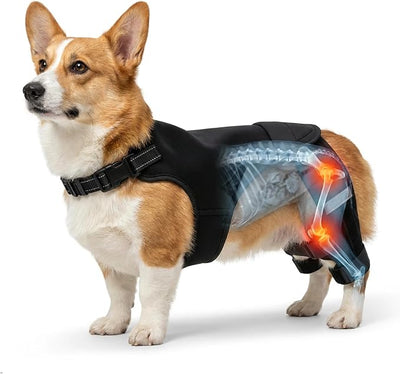 Dog Knee Braces for Torn ACL Hind Leg, Adjustable Dog Leg Braces for Back-Leg with Four Stabilizers for Luxating Patella Relieves Ligament Injury and Joint Pain (S)