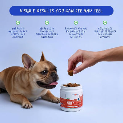 Cranberry for Dogs 90 Soft Chews - UTI, Bladder & Incontinence | Cranberry soft chews for UTI relief, bladder health & urinary tract support. Helps with bladder stones & incontinence.