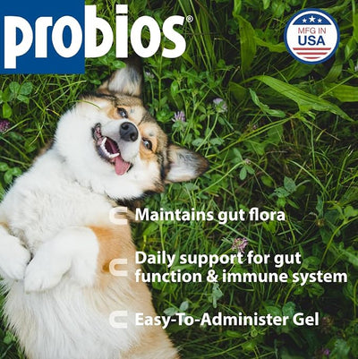 Probios Probiocin Oral Probiotic Gel for Dogs and Cats, Digestive and Immune Support Supplement, Easy Syringe Administration, Suitable for Newborns to Senior Pets, 15g Tube