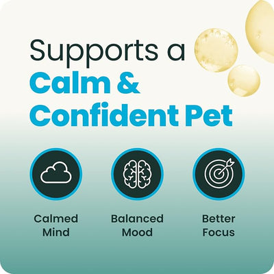 VetriScience Calm & Confident Liquid, Composure Calming and Anxiety Supplement for Dogs and Cats, Reduce Stress and Fear, Ideal for Thunderstorms, Fireworks, Vet & Routine Changes, Unflavored, 8 oz