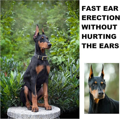 Doberman Dog Ear Posting Kit, Dog Ear Stand Up Support Tool, Dogs Ears Tap for Doberman Pinscher