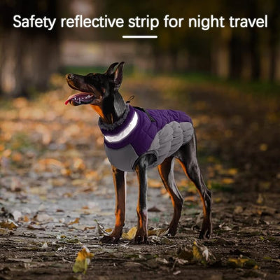 Dog Jackets for Medium Dogs,Medium Dog Coat,Warm Pet Winter Coat Zip Up Back,Waterproof Dogs Jacket with D-Ring,Pet Cold Weather Coats with Fleece Lined, Snowsuit Pug Boston Terrier,Purple,M