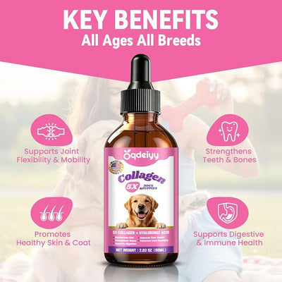 Premium Liquid Collagen for Dogs – 5 Types of Collagen Supplements & Drops for Dogs with Glucosamine, Chondroitin, MSM, Hyaluronic Acid & Probiotic – Supports Healthy Skin, Joints & Gut -60ml