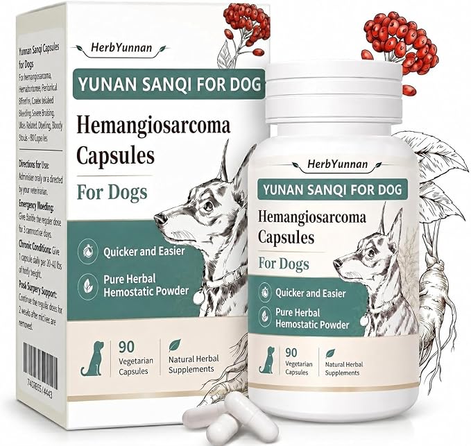 Yun nan Sanqi Capsules for Dogs - Pure Root Powder with Ajuga for Hemangiosarcoma, Hemoabdomen, Pericardial Effusion, Ulcer-Related Bleeding, Cancer Bleeding, Severe Bruising - 90 Capsules