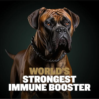 Bully Max 11-in-1 Dog Muscle Builder Power Chews - High Protein Muscle Gain Supplement with Amino Acids - Vet-Recommended for Puppy & Adult Canines, All Breeds & Ages - Made in USA - 75 Soft Chews