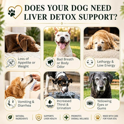 Advanced Liver Support Supplement for Dogs – Milk Thistle, Turmeric, Same & Choline – Liver Detox, Kidney Support, Immunity & Metabolic Boost – Organic Ingredients, Natural Chicken Flavor – 90 Chews