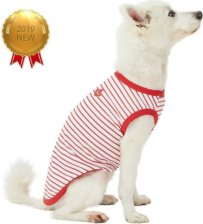 Blueberry Pet Soft & Comfy Summer Vacation Beach Cotton Dog T-Shirts, 2 Pack, Sea Lover Girl Power Shirts Tank Top Clothes, Back Length 14", for Small Medium Dogs