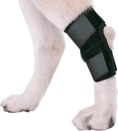 Agon® Dog Leg Braces For Back Leg wrap hock compression protects wounds and helps heal hind legs rear ankle joint, preventing injuries, sprains providing stability for dogs, canine arthritis (X-Small)