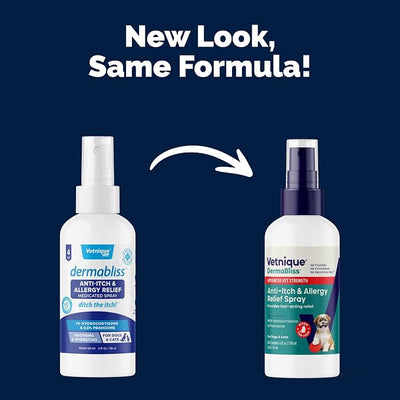 Vetnique Dermabliss Hydrocortisone Anti Itch Spray for Dogs & Cats (4oz) | 1% Hydrocortisone Dog Spray, Dog Allergy Relief & Cat Allergy Relief, Itch Relief for Dogs, Hot Spot Itch & Skin Irritation