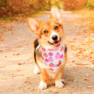 PTDECOR Fall Dog Bandana, Pink Pumpkin Design Reversible Holiday Dog Scarf, Triangle Thanksgiving Bandanas for Medium Large Dogs Pets (Large)